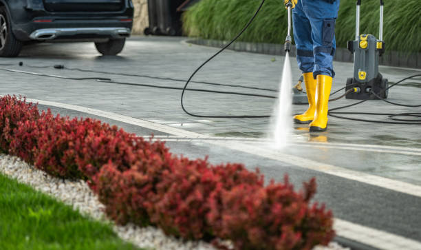 Best Roof Pressure Washing  in Kingston, PA